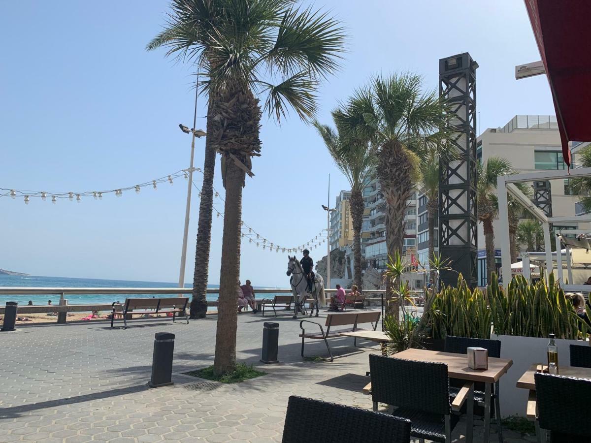 Apartamento El Murtal Benidorm Eksteriør billede